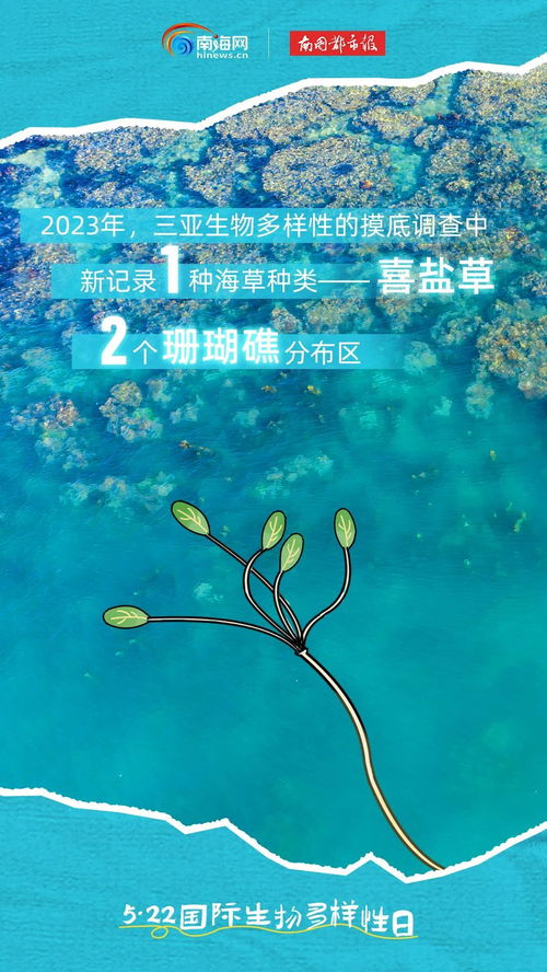 在海南,遇见生物多样性之美