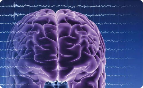 生物脑与人工智能融合 数字生命的崭新时代