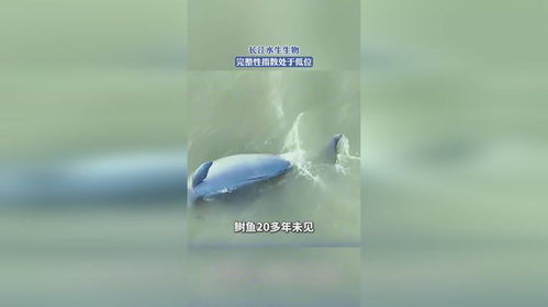 长江水生生物,完整性指数处于低位