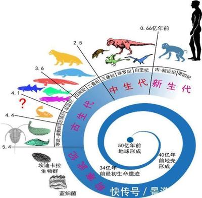 人类仍在进化,且在加速,科学家在35%的人手臂中发现了进化