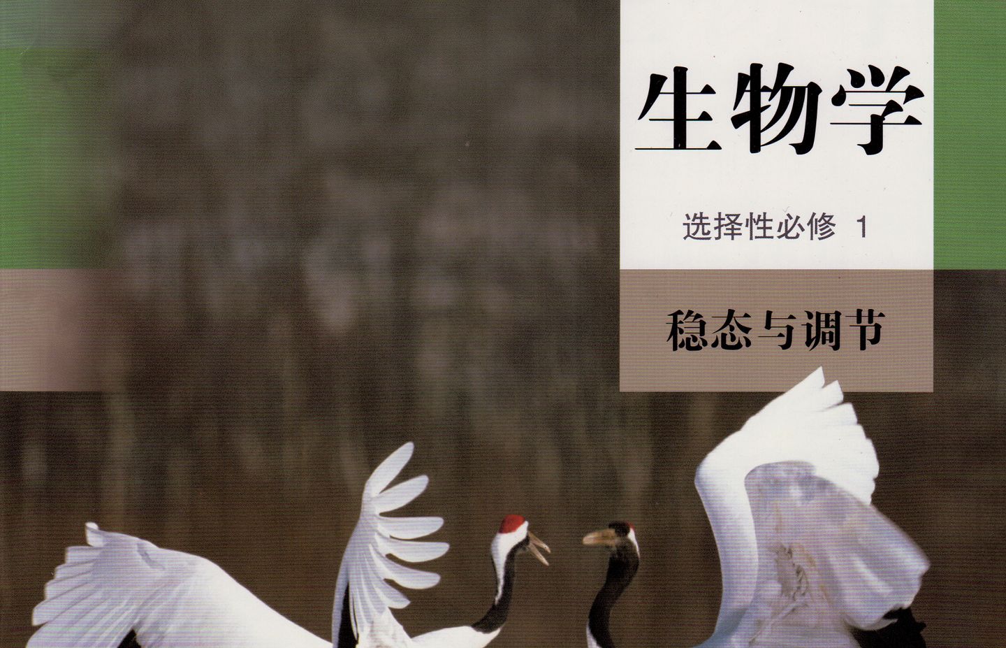 高中生物 新教材 选择性必修1《稳态与调节》学习重点