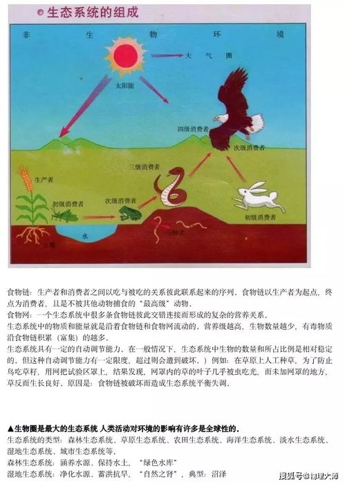 初中生物 复习时期,来一份知识点大全吧