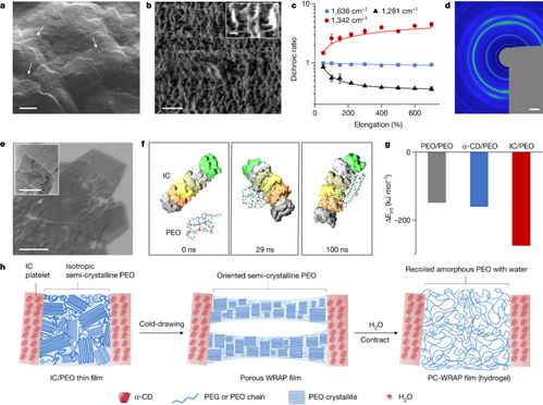 胡本慧团队在 自然 合作发表遇水骤缩仿生膜实现生物接口标准化成果