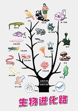 进化树图片_进化树素材_进化树模板免费下载