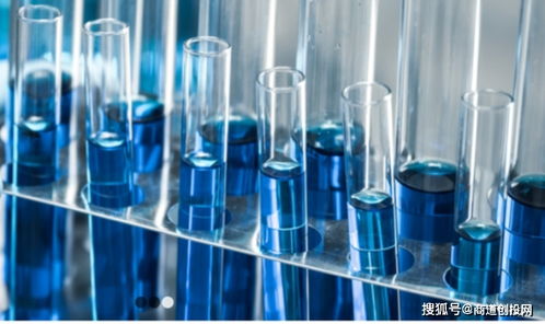 生物制品cdmo服务商,鼎康生物完成超1.9亿美元a 轮融资