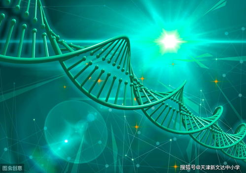 177个高中生物核心知识点大汇总,高考复习必备