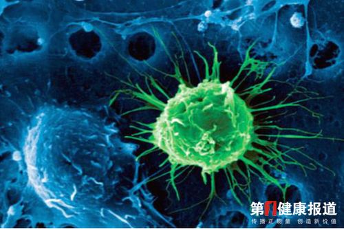品泽生物的万用细胞真的可以改善人体衰老