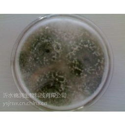 妊娠相关蛋白试剂产品图片 价格,妊娠相关蛋白试剂企业 供货商 热搜产品