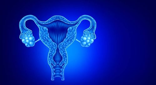 派特灵派特生物科普 妇科须知 子宫内膜息肉的检查方法